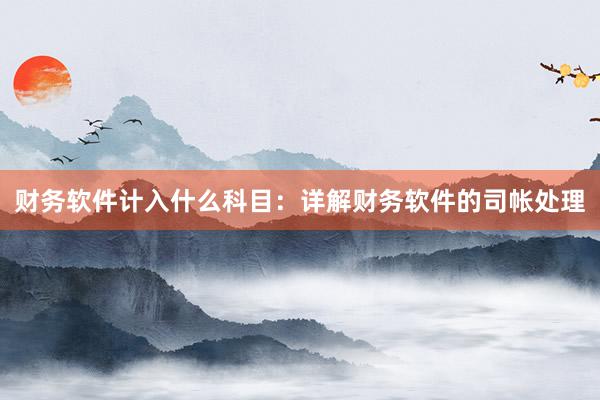 财务软件计入什么科目：详解财务软件的司帐处理