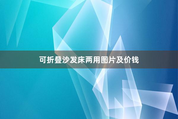 可折叠沙发床两用图片及价钱